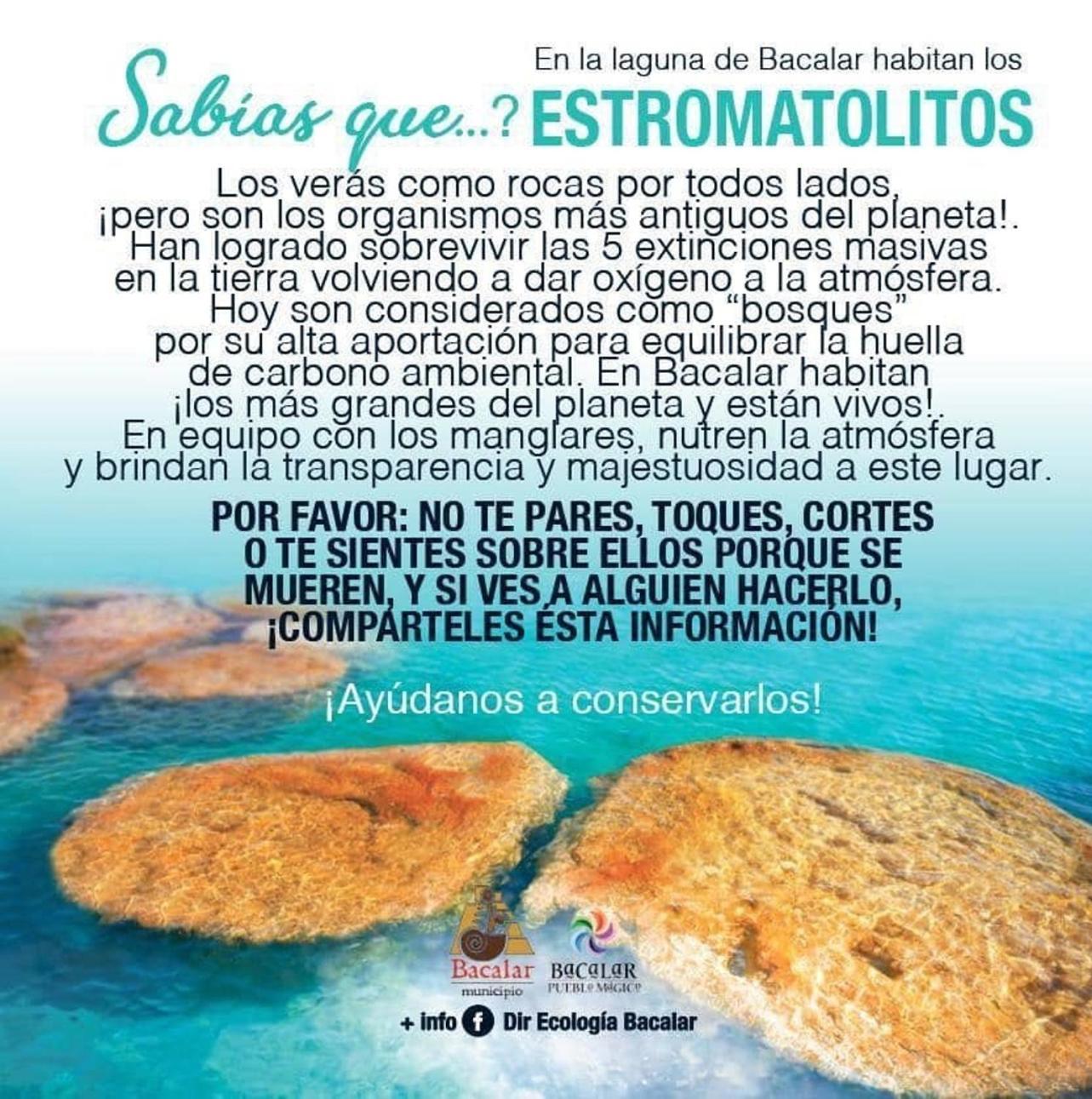 Casa Villa Real- Lagoon Acces And Stunning Views! Bacalar Eksteriør billede